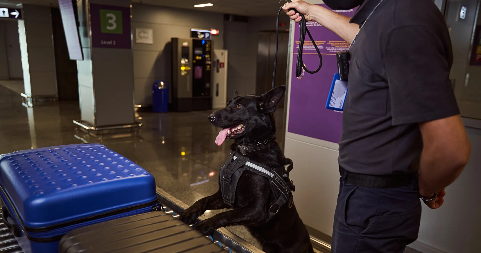 security-officer-and-detection-dog-checking-luggag-2026-03-10-02-11-20-utc 1
