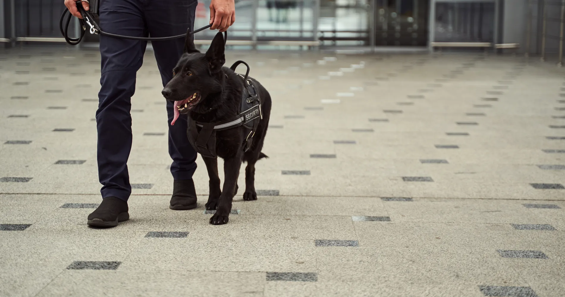 security-officer-with-police-dog-walking-down-airp-2026-01-05-06-09-01-utc 1